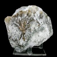 Astrophyllite