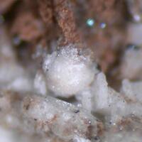 Charleshatchettite & Donnayite-(Y)