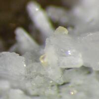 Thomasclarkite-(Y) & Petersenite-(Ce)