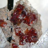 Manganoneptunite & Catapleiite