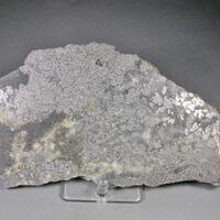 Silver & Skutterudite