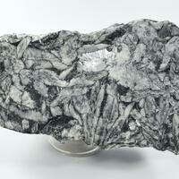 Magnesite Var Pinolite