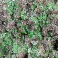 Eclogite With Pyrope & Chrome-Omphacite