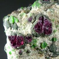 Pyrope & Chromian Diopside With Forsterite & Kelyphite