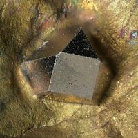 Sperrylite On Talnakhite