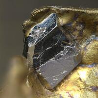 Sperrylite On Talnakhite