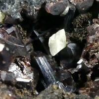 Scheelite & Hornblende On Andradite-Grossular Series