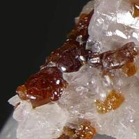 Chondrodite With Spinel & Diopside