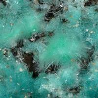 Agardite-(La)