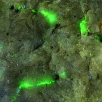 Hardystonite With Willemite