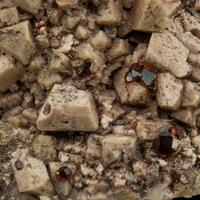 Spessartine Microcline & Smoky Quartz