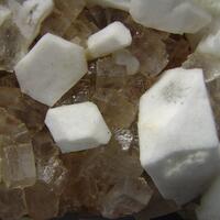 Leonite Psm Picromerite & Halite