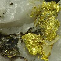 Petzite & Gold