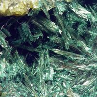 Gormanite
