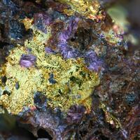 Gold Electrum & Erythrite