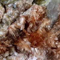 Montgomeryite With Whitlockite