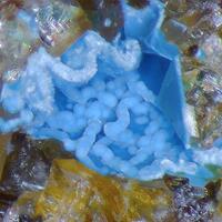 Khaidarkanite & Azurite