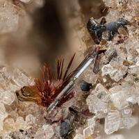 Warwickite Enstatite Hematite & Pseudobrookite