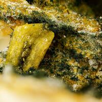 Jahnsite-(NaMnMg) Jahnsite-(CaMnMg) Rockbridgeite Hureaulite & Natrodufrénite