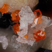 Monazite-(Ce) Fluornatropyrochlore & Astrophyllite