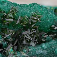 Olivenite & Cornwallite