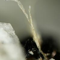 Wöhlerite & Madeiraite Wöhlerite & Madeiraite