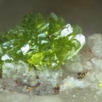 Rodalquilarite Gold