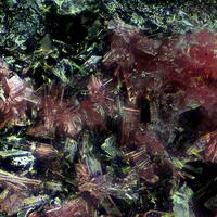 Cobaltoan Magnesian Annabergite Cobaltoan Magnesian Annabergite