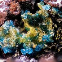 Boleite & Chlorargyrite