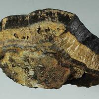 Collinsite & Quercyite