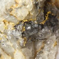 Gold With Brannerite