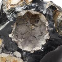 Obsidian With Cristobalite