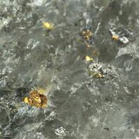 Gold With Nordströmite & Wittite