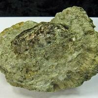 Anthophyllite & Phlogopite Var Hermanov Ball