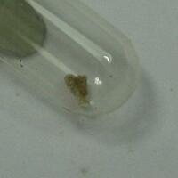 Struvite-(K) & Newberyite