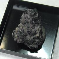 Dozyite