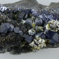 Galena Marcasite Sphalerite & Chalcopyrite