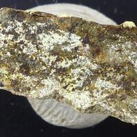 Françoisite-(Nd) & Uranophane Françoisite-(Nd) & Uranophane