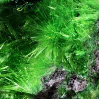 Cuprosklodowskite & Guilleminite