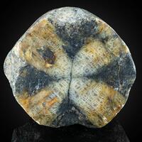 Andalusite Var Chiastolite