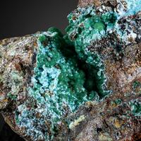 Olivenite Conichalcite & Arsenocrandallite