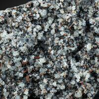 Leucite Nepheline Melilite Magnetite & Augite