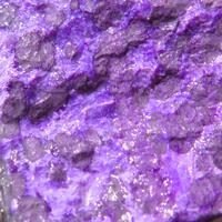 Orbicular Sugilite
