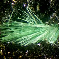 Vysokýite & Štěpite