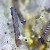 Magnesio-ferri-fluoro-hornblende