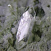 Apophyllite