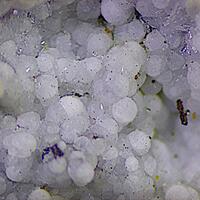 Dypingite & Inderite & Canavesite