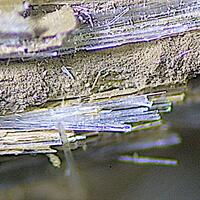 Caryochroite & Elpidite