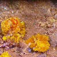 Marécottite & Plavnoite