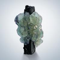 Fluorite On Schorl
